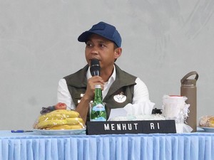 Menhut Puji Hotspot di Riau di Posisi Terendah: Pakar Sampai Kebingungan