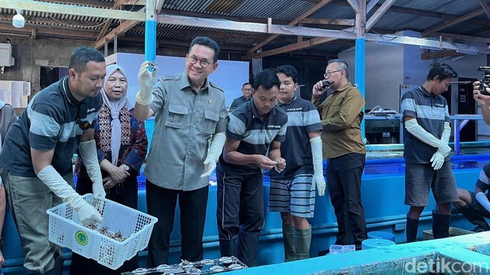 Menteri Perdagangan melepas ekspor koral hidup ke Amerika senilai 2.500 dolar dari Banyuwangi