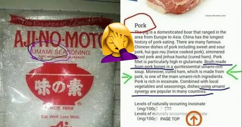 Heboh MSG di Malaysia Disebut Mengandung Babi, Pemerintah Beri Klarifikasi