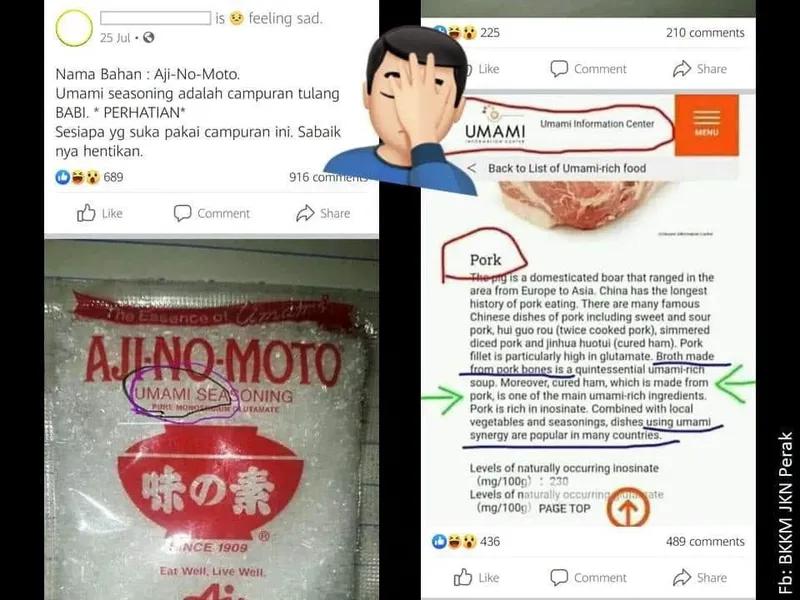 Heboh MSG di Malaysia Disebut Mengandung Babi, Pemerintah Beri Klarifikasi