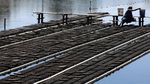 Panen Kepiting Soka Aceh, Produksi Capai 2 Ton/ Bulan