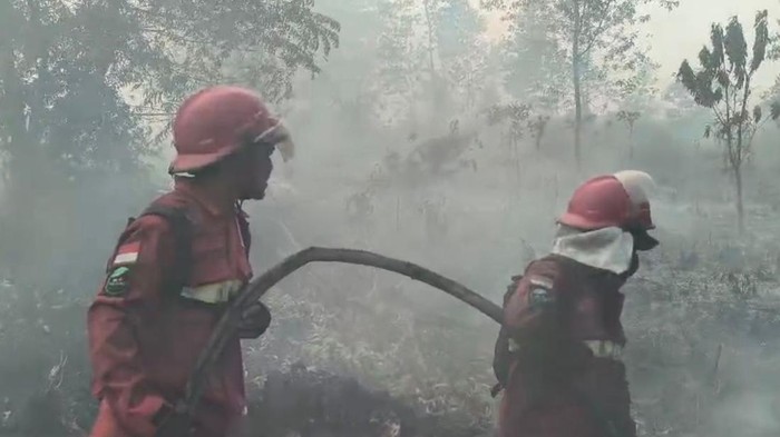 Petugas Manggala Agni melakukan pemadaman kebakaran di Hutan Lindung Gambut Londerang, Jambi