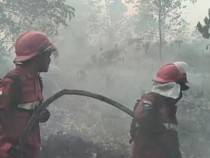 Relawan Karhutla Sakit hingga Gugur, Pakar Soroti 5 Langkah Lindungi Pemadam