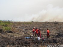 Lahan Gambut 13,2 Hektare di TNBS Kembali Terbakar, Personel Turun Padamkan