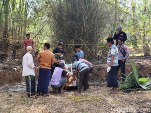 Geger Lansia Perempuan Tewas Terbakar di Sawah Sumenep