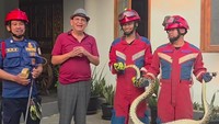 Roy Marten Kedatangan Ular Lagi di Rumah, Langsung Telepon Damkar