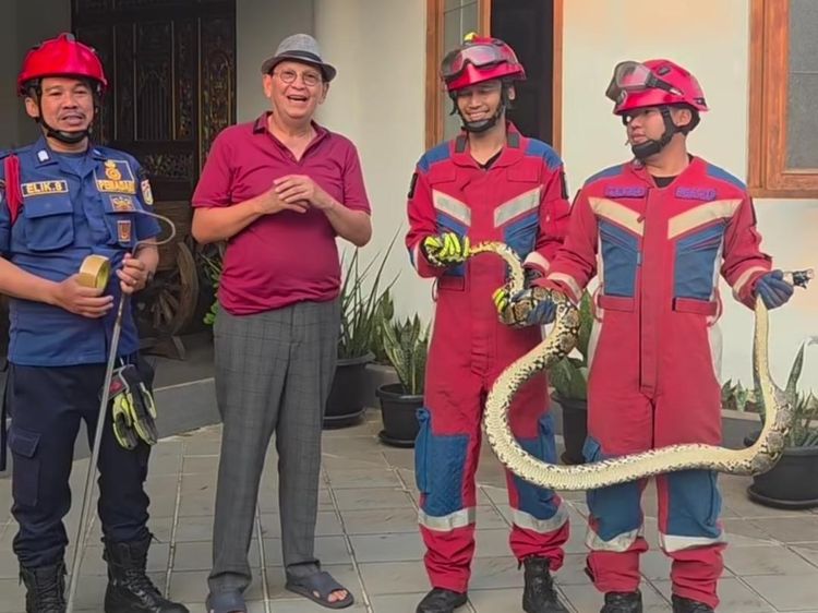 Roy Marten Kedatangan Ular Lagi di Rumah, Langsung Telepon Damkar
