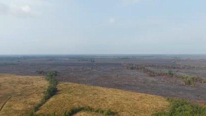 Area Taman Nasional Way Kambas yang terbakar