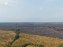 3 Titik Baru Kebakaran Way Kambas Padam, Lahan Terbakar 912,49 Hektare