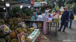 Berburu Tanaman Hias di Pameran Flona 2026 Lapangan Banteng