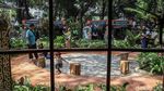 Berburu Tanaman Hias di Pameran Flona 2026 Lapangan Banteng