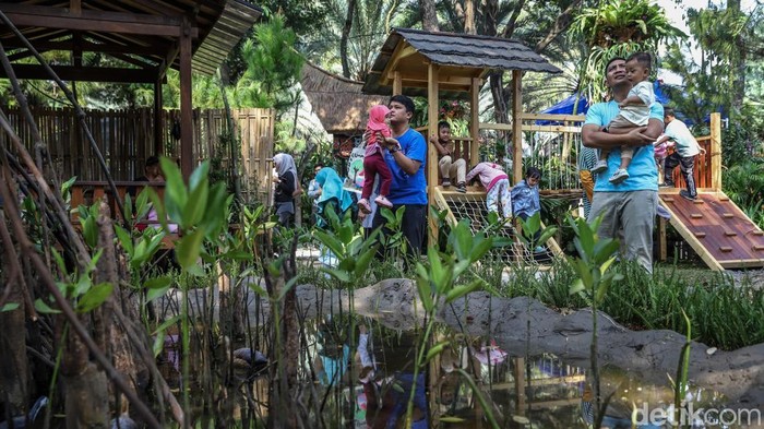 Berburu Tanaman Hias di Pameran Flona 2026 Lapangan Banteng