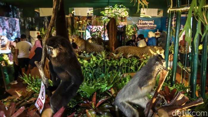 Berburu Tanaman Hias di Pameran Flona 2026 Lapangan Banteng