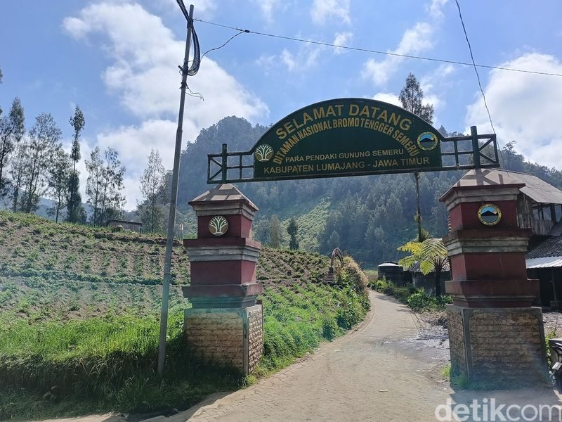 Gerbang selamat datang menuju pendakian Semeru yang saat ini ditutup total dari pendaki karena masih terjadi kebakaran hutan dan lahan di kawasan TNBTS. Gerbang selamat datang menuju pendakian Semeru yang saat ini ditutup total dari pendaki karena masih terjadi kebakaran hutan dan lahan di kawasan TNBTS.