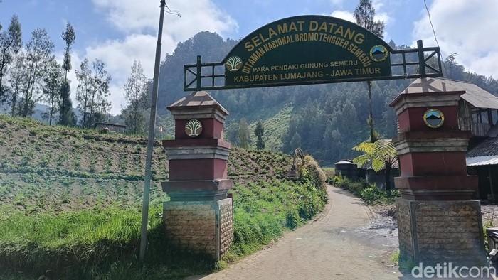 Gerbang selamat datang menuju pendakian Semeru yang saat ini ditutup total dari pendaki karena masih terjadi kebakaran hutan dan lahan di kawasan TNBTS.