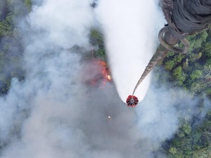 Video Dua Petani Jambi Diamankan, Diduga Bakar Hutan Konservasi