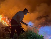Karhutla Kepung Rei 2 Pulang Pisau, Tanaman Padi Warga Ikut Terbakar