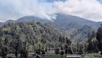 Kebakaran TNBTS Bakar Vegetasi Endemik, Satwa Liar Kehilangan Habitat