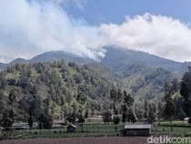 Gunung Semeru Ditutup Total Imbas Karhutla, Ribuan Pendaki Gagal Mendaki