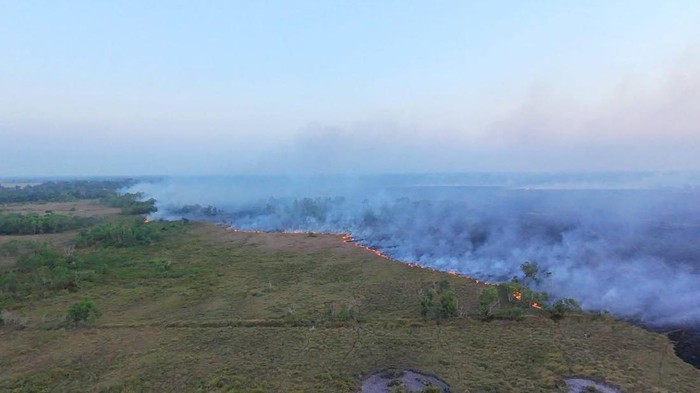 Kebakaran melanda 150 hektare lahan di Malimpung, Pinrang, melibatkan lahan warga dan TNI AU.