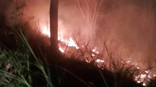 Lahan satu hektare di perbukitan Senggigi, Lombok Barat, NTB terbakar sekitar pukul 19.30 Wita, Sabtu (29/8/2026). (Dok. Damkarmat Lombok Barat)