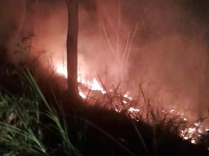 Dua Pekan, Damkar Lombok Barat Hampir Tiap Hari Terima Laporan Kebakaran