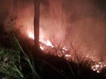 Dua Pekan, Damkar Lombok Barat Hampir Tiap Hari Terima Laporan Kebakaran