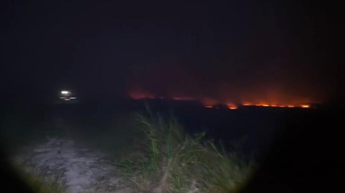 Lokasi karhutla di Desa Pulau Mentaro, Muaro Jambi, Jambi