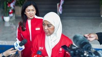 Kasus Yogi di Mentawai Temui Titik Terang, Bakal Jadi Reseller Resmi Starlink