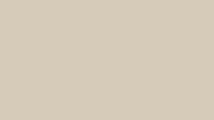Palet warna putih