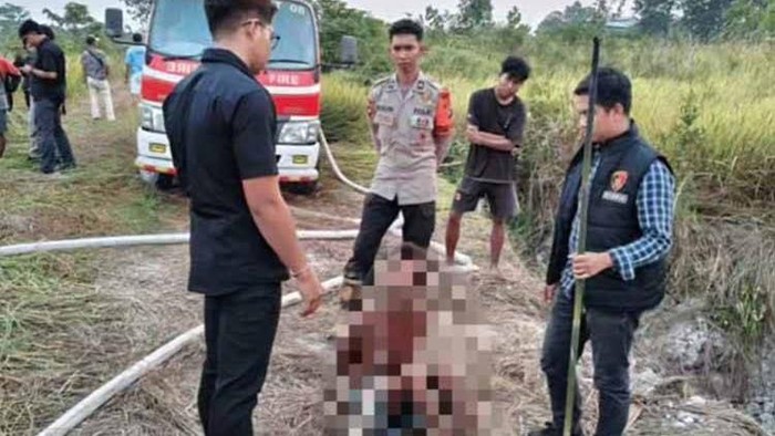 Pelaku pembakar lahan ditangkap di Lamandau.