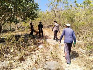 Operasi SAR Nenek Berambut Panjang di Nusa Penida Dihentikan