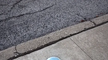 Nadine and Her Anti-Snow Globe, David Zinn. Nadine, karakter tikus karya David Zinn, digambarkan berdiri di samping kubah kecil yang justru menyimpan rumput hijau dan bunga, bukan salju. Foto: via StreetArtUtopia