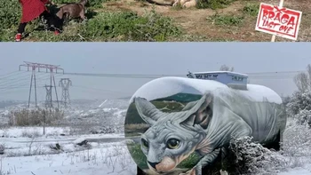 Summer and Winter, Braga Last One. Mural kucing Sphynx karya Braga Last One tampak menyatu dengan lanskap nyata. Dua foto memperlihatkan karya yang sama dalam suasana musim panas dan musim dingin. Foto: via StreetArtUtopia