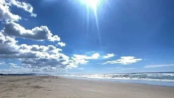 Wile E. Coyote, PUFFERFISH. Karya PUFFERFISH di San Francisco, Amerika Serikat, menampilkan karakter kartun Looney Tunes, Wile E. Coyote nyungsep seolah baru saja menghantam pasir. Jejak benturan dan bayangan panjang membuat adegan kartun ini tampak hidup. Foto: via StreetArtUtopia