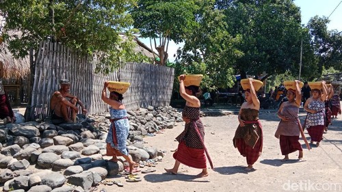 Suasana gotong royong memotong hewan ternak untuk diolah menjadi makanan pada Mulud Adat Bayan, Lombok Utara, NTB, Sabtu (29/8/2026) foto (Sanusi Ardi W/detikBali).