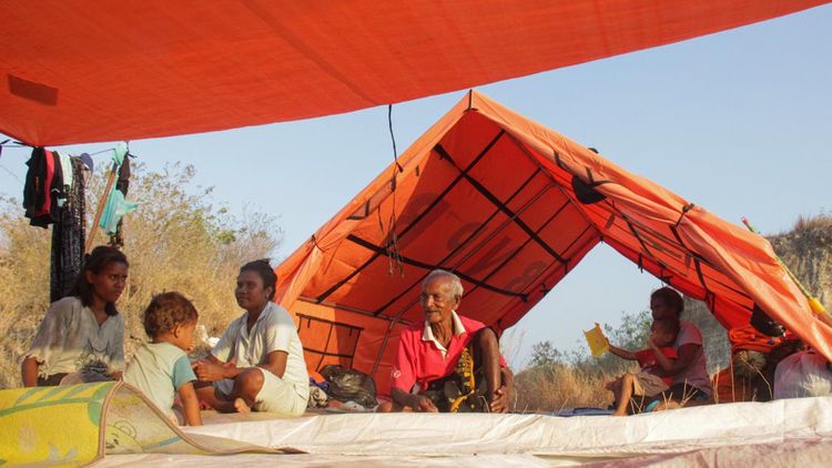 Tanggap Darurat Diperpanjang, Pengungsi Gempa Flores Masih Bertahan di Tenda