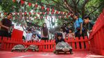 Serunya Melihat dan Memberi Makan Hewan di Flona 2026