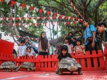 Video: Melihat Pameran Flona 2026 di Lapangan Banteng, Ada Hutan Mini Nusantara