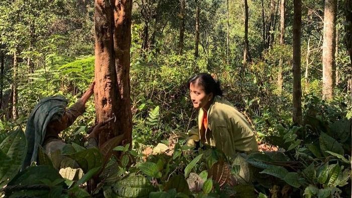 Devi bersama opungnya hendak memanjat pohon kemenyan. (Istimewa)