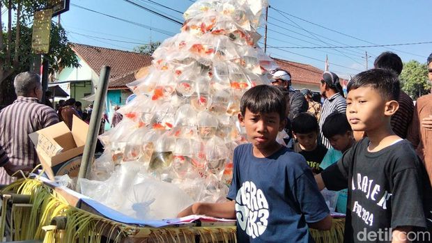 Gunungan Ikan Suasana rebutan gunungan ikan yang berlangsung dalam rangkaian Merti Desa Ngrajek, Kecamatan Mungkid, Kabupaten Magelang, Minggu (30/8/2026).