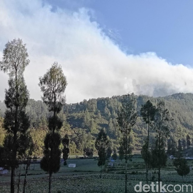 Potret Asap Membumbung di TNBTS, Pendakian Semeru Masih Ditutup