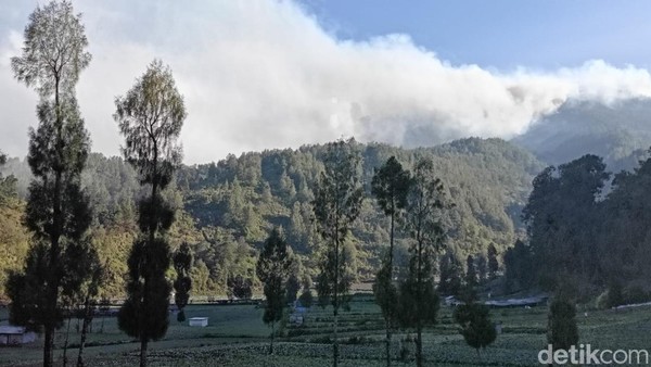 Potret Asap Membumbung di TNBTS, Pendakian Semeru Masih Ditutup