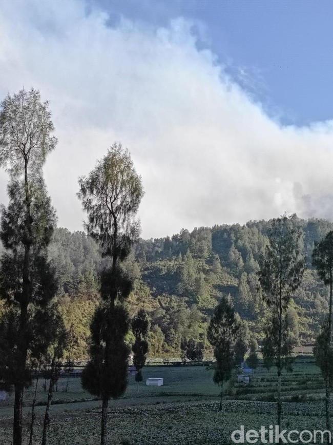 Potret Asap Membumbung di TNBTS, Pendakian Semeru Masih Ditutup