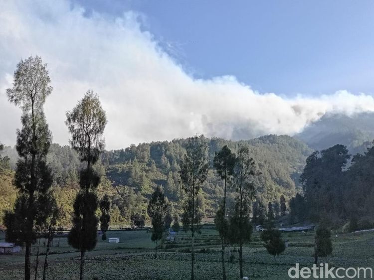 Potret Asap Membumbung di TNBTS, Pendakian Semeru Masih Ditutup