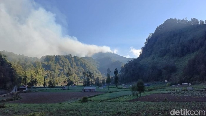 Kondisi terkini kebakaran TNBTS di Kabupaten Lumajang Minggu (30/8/2026)