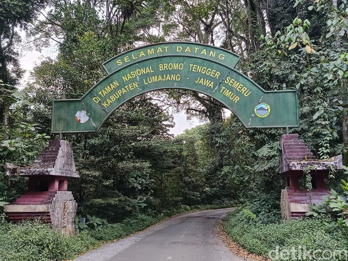 Kondisi terkini kebakaran TNBTS di Kabupaten Lumajang Minggu (30/8/2026)