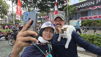 Gemas! Kucing Telon Bak Seleb di CFD Bundaran HI, Sibuk Layani 'Meet and Greet'