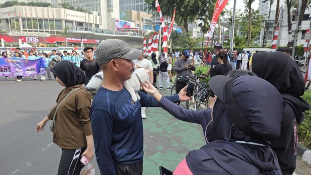 Momen warga 'meet and greet' kucing viral bernama Telon di CFD Bundaran HI (Taufiq/detikcom)