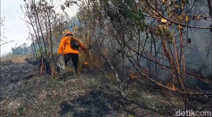 Pemadaman Kebakaran Hutan TNBTS via Darat Terkendala Medan dan Jauhnya Sumber Air